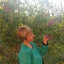  Yelena, - -  1  2017    