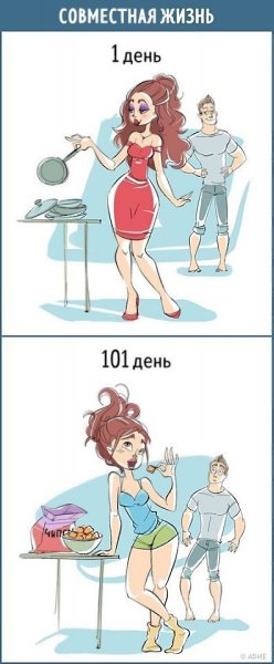 10 комиксов о том, как меняется наше отношение к любым вещам за каких-то 100 дней. - 2