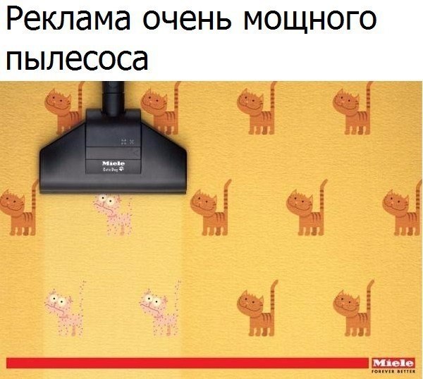   - 8  2017  15:16