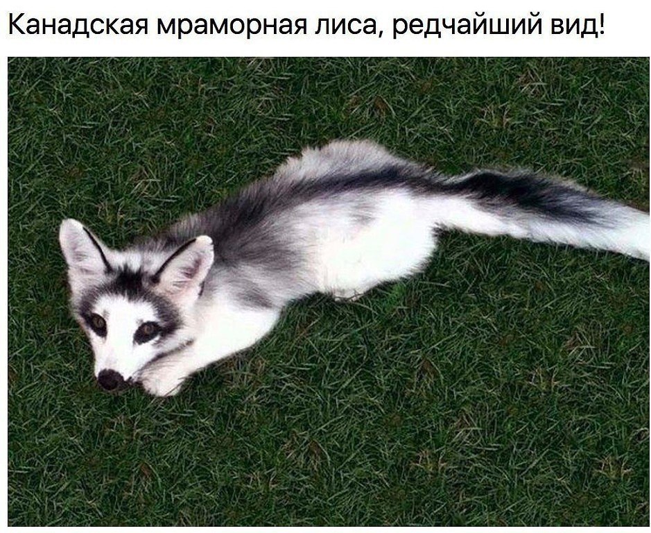   ,   ...   ,   ! - 5