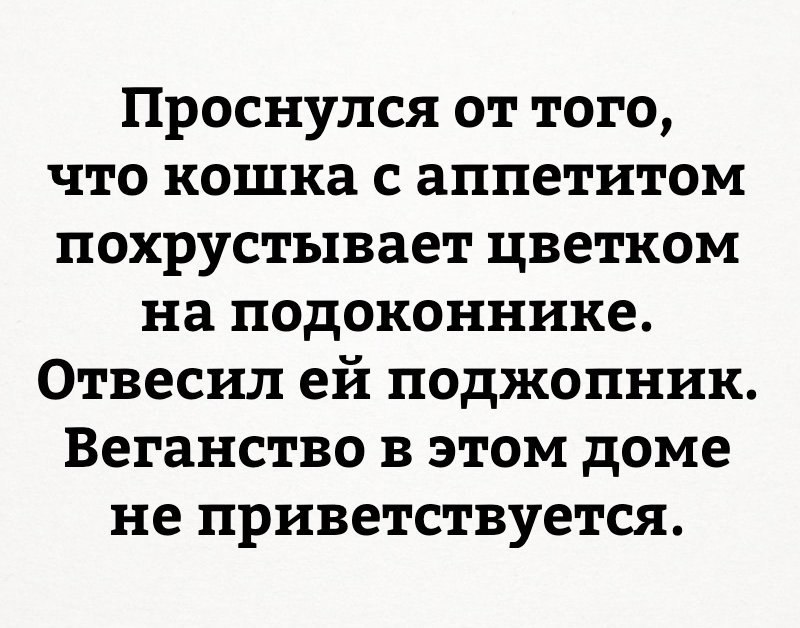  - 7  2017  11:51
