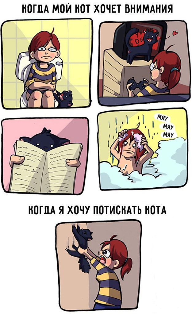 15 ,      - 3