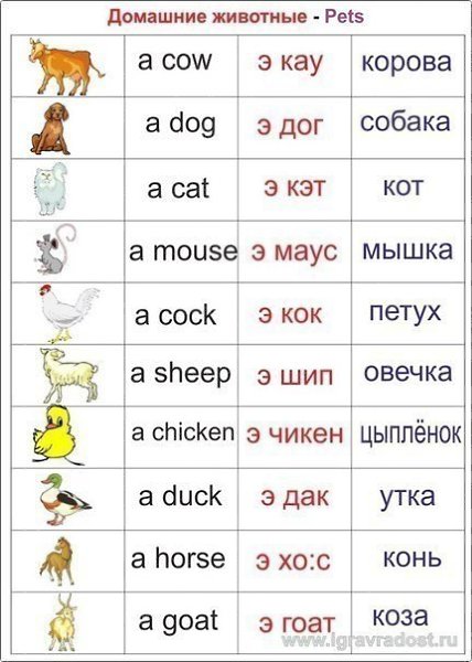   . ,  - 7