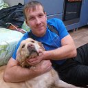 ���� �������, �����, 48 ��� - ��������� 1 ���� 2017 � ������ ���� ����������