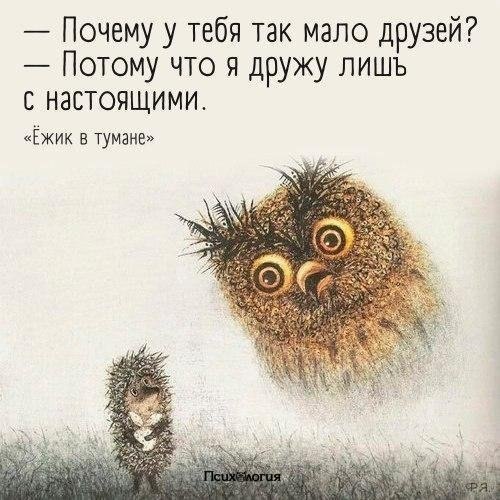  - 13  2017  08:06