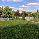  , --, 44  -  19  2017    