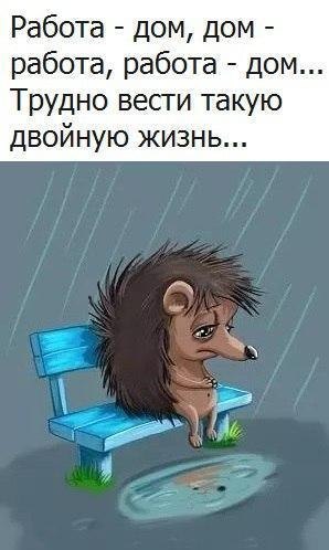 =Fox= - 21  2017  00:46