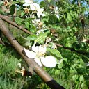  , --, 48  -  14  2017   