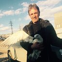 ���� ������, ������, 64 ���� - ��������� 18 ������ 2017 � ������ ���� ����������