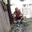 ���� �������, ������, 49 ��� - ��������� 17 �������� 2017 � ������ ���� ����������