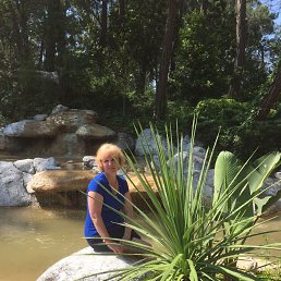 Olga, ����������