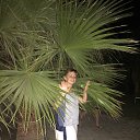 ���� �����, ������������, 53 ���� - ��������� 16 ������� 2017 � ������ ������ ��������