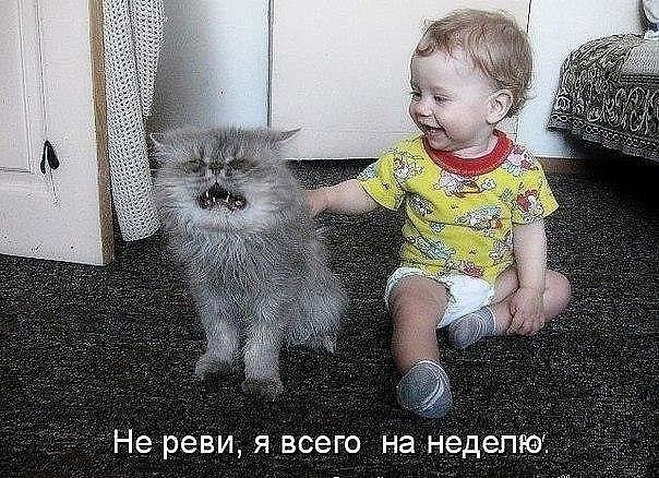 ,   ) ....... ..)) - 2