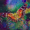  Ann Ann,  -  20  2017    