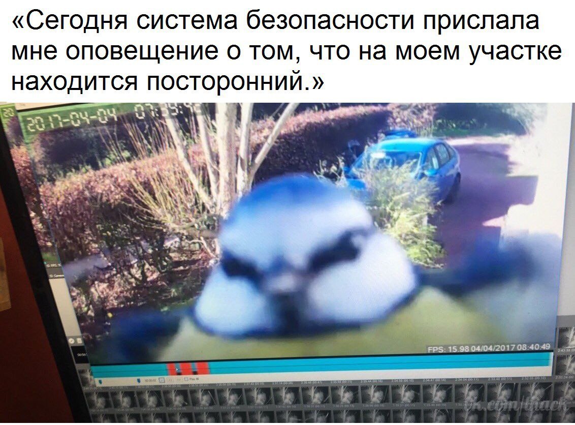  - 13  2017  15:08
