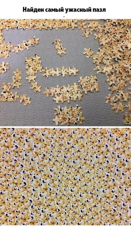 Art & Fun - 14  2017  19:01