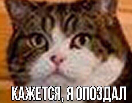   ,   - : - 9