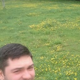 �����, ������, 38 ���