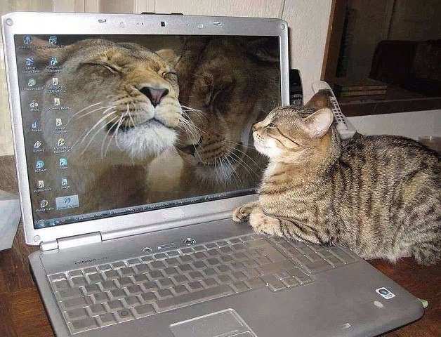    , )