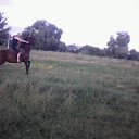 ���� ������, �����, 45 ��� - ��������� 5 ���� 2017 � ������ ���� ����������