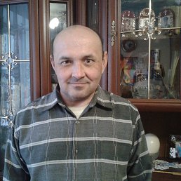 �����, ����, 51 ���