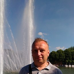 , 53 , 