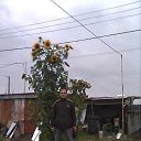 ���� ������, ���������� - ��������� 8 ������� 2017 � ������ ���� ����������