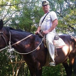 ��������, ������, 66 ���