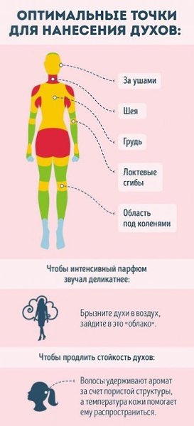 Для тех, кто хочет разбираться в парфюме.#интересное@rules4life - 8