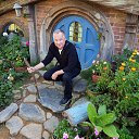 ���� ������, ���������, 67 ��� - ��������� 15 ��� 2017