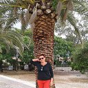  ,  -  8  2017   2017  