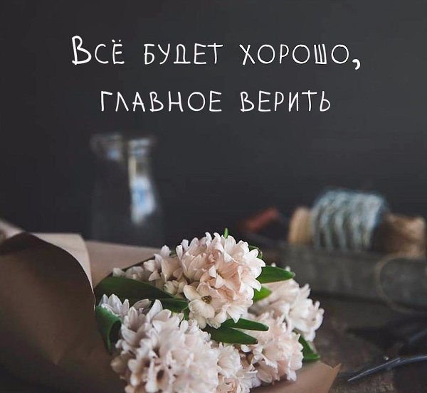   -  ,  -  - 29  2017  10:27