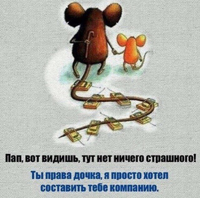 LIFE -  - 9  2017  01:32