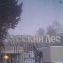 ���� �������, ����, 53 ���� - ��������� 29 ������� 2017 � ������ ���� ����������