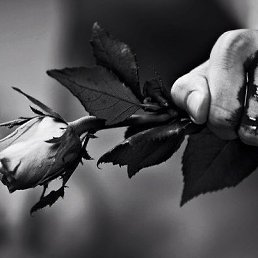 ����, ������, 29 ���