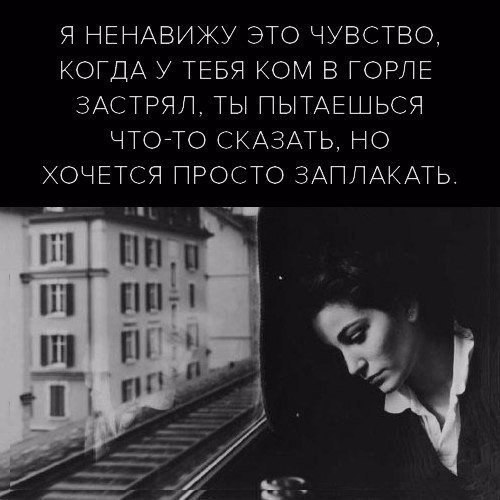   -  ,  -  - 19  2017  07:11