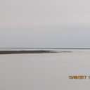 ,        2017,    