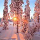        .       ....   )     !)    