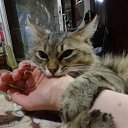 ���������� �� ������� ���������Ȼ