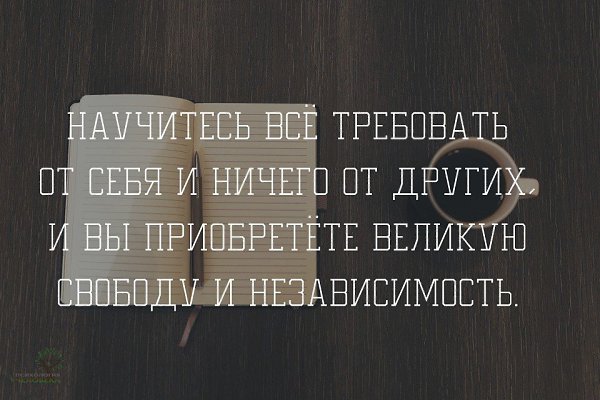     - 21  2017  03:32