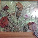 ���� ������, ������ - ��������� 22 ������� 2017 � ������ ���� �������!!!�