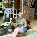 ������ ������ ��������� �� ������� ���� ����������