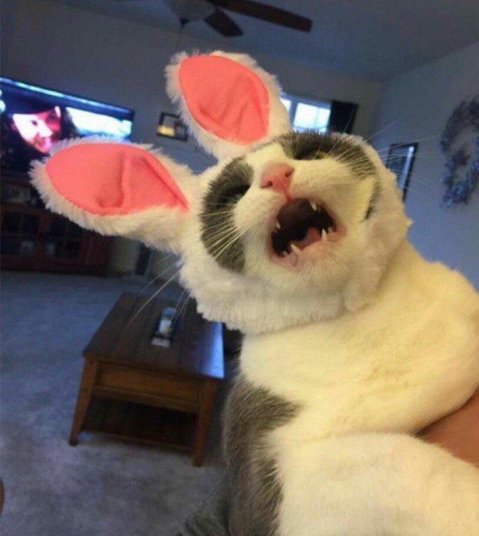       .     -.