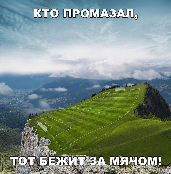   - 6  2017  13:50