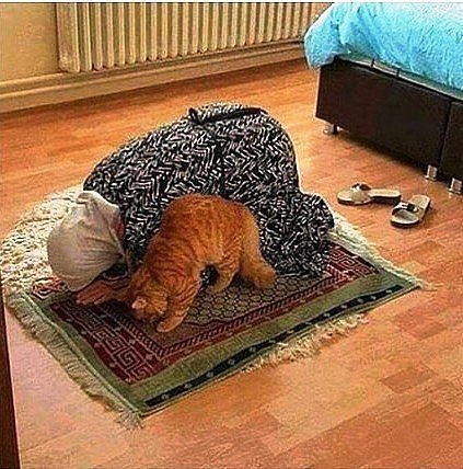  ,  ....))))
