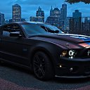 ���� ���������, ������, 26 ��� - ��������� 30 �������� 2017 � ������ ���� ����������