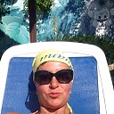  ,  , 49  -  29  2017   