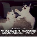 ���� �����, �����, 37 ��� - ��������� 12 ��� 2017 � ������ ������ ��������