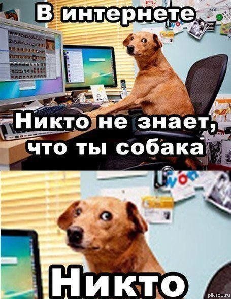  - 20  2017  10:48