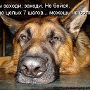 ���� Vitaminka, ������ - ��������� 8 �������� 2017 � ������ ������ ��������